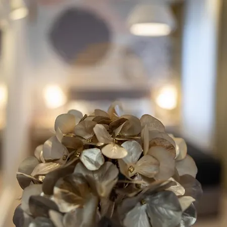 Sweet Dreams-old Town بيت ضيافة 4*